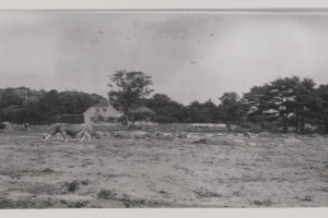 Bilde av Tallakshavn - bebyggelse